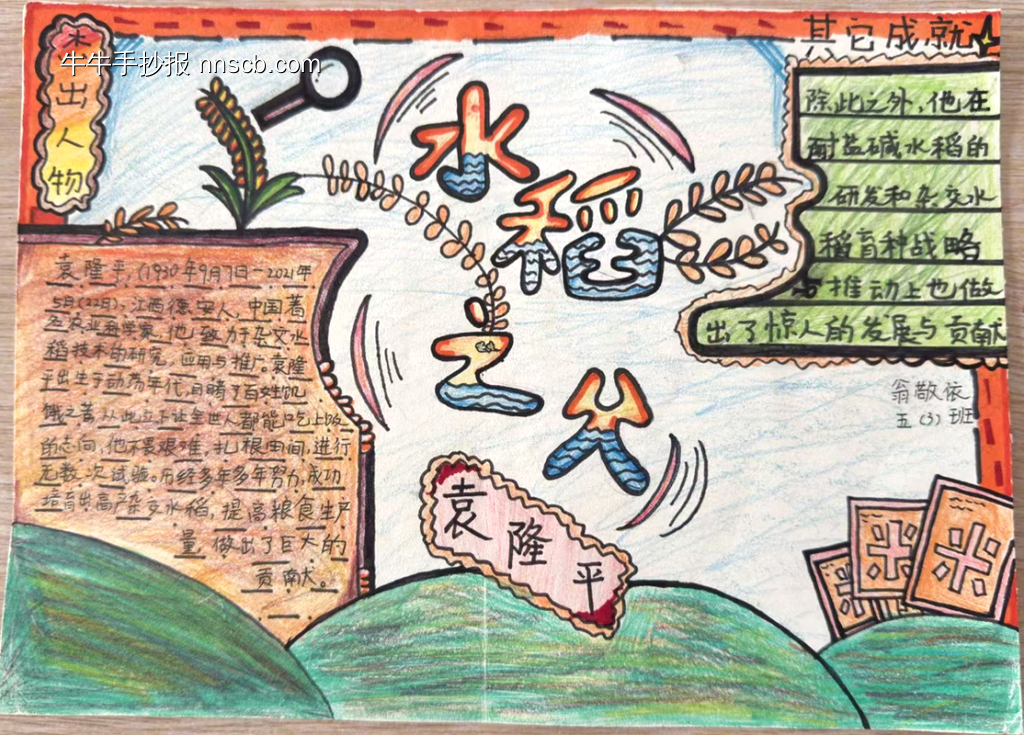 水稻之父——袁隆平主题手抄报-第1张