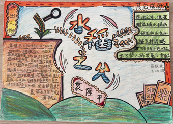 水稻之父——袁隆平主题手抄报