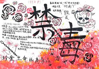 禁毒有“画”说，青春不“毒”行|禁毒手抄报14张