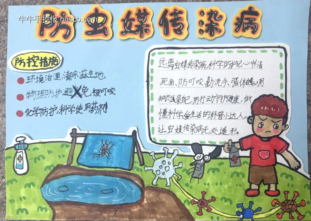 防虫媒传染病主题手抄报4幅-第4张