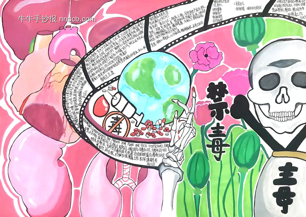 禁毒有“画”说，青春不“毒”行|禁毒手抄报14张-第4张