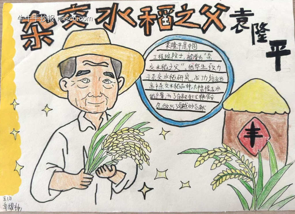 水稻之父——袁隆平主题手抄报-第4张