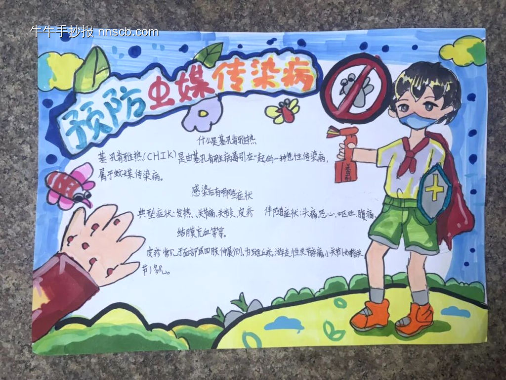防虫媒传染病主题手抄报4幅-第3张