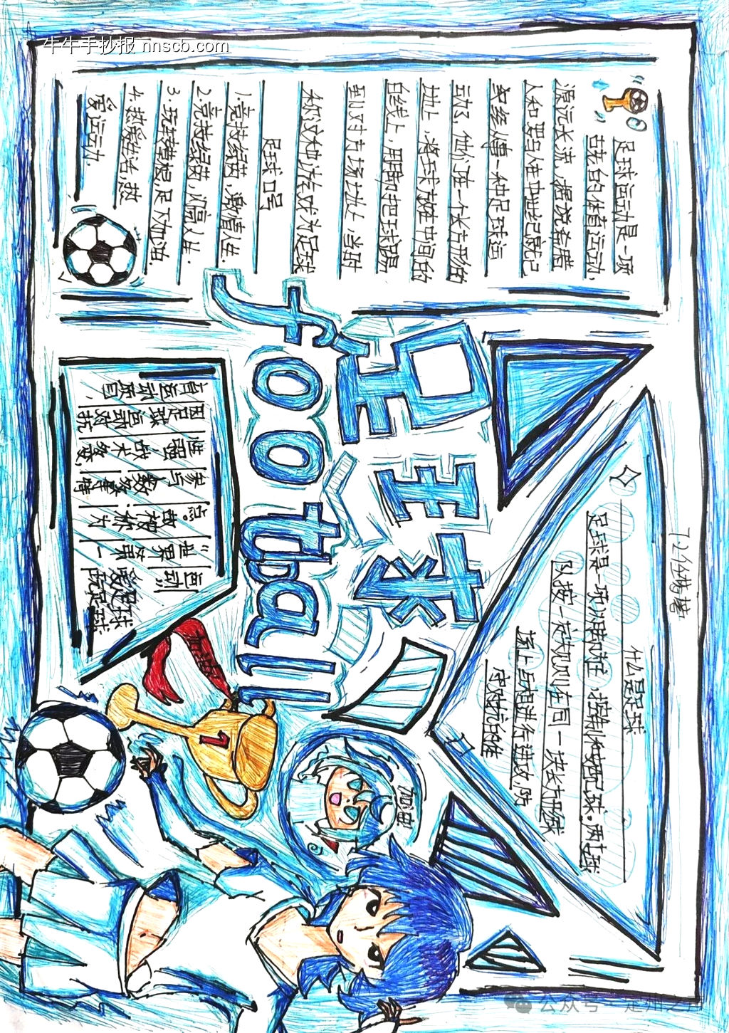 简单又漂亮的足球手抄报8张-第2张