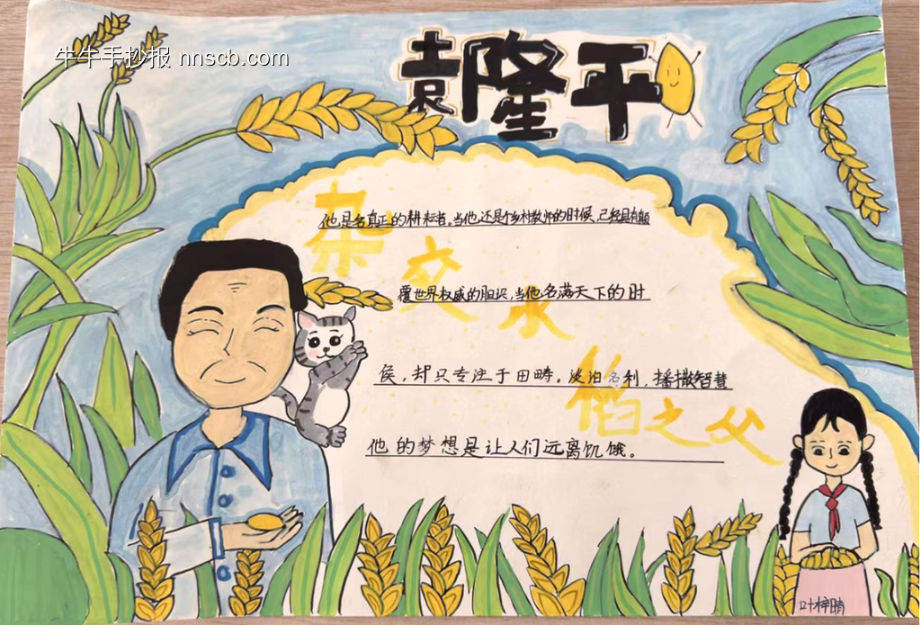 水稻之父——袁隆平主题手抄报-第5张
