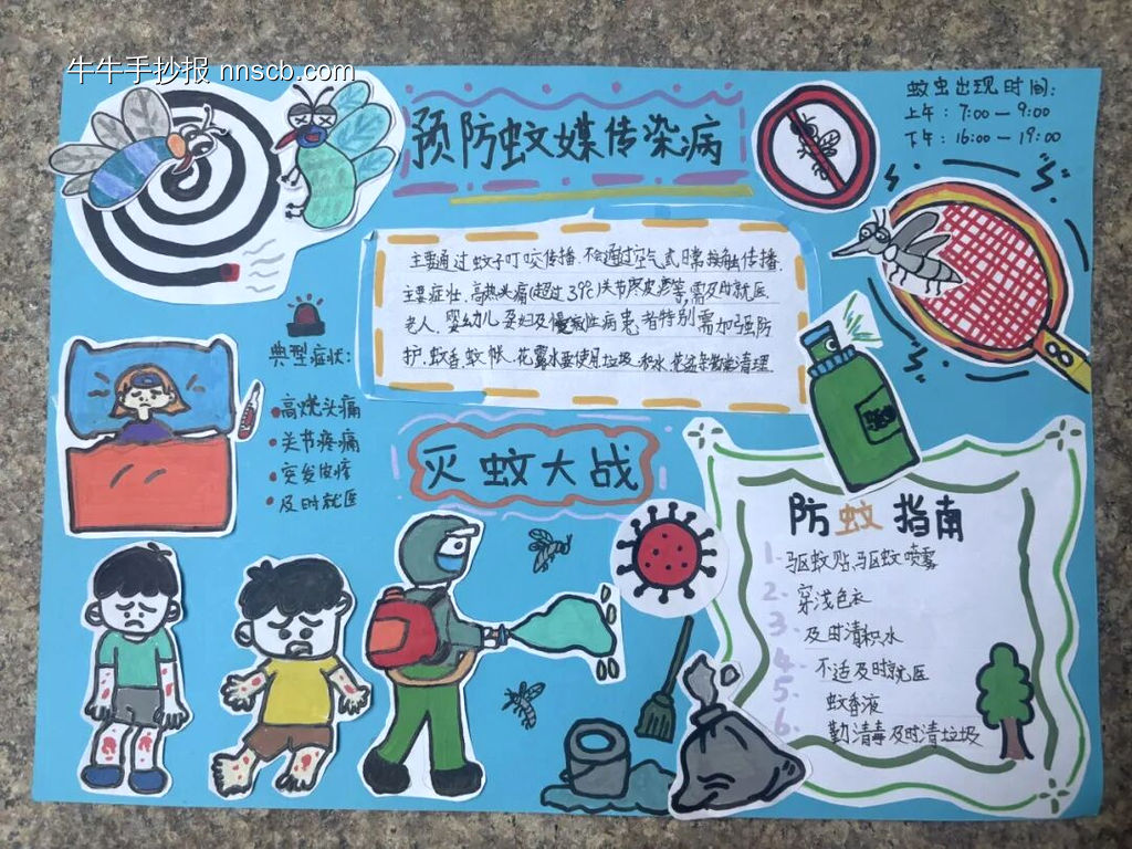 防虫媒传染病主题手抄报4幅-第2张
