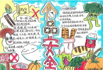 节约粮食拒绝浪费的食品安全手抄报