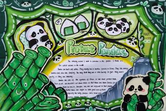 精美的英语手抄报8张