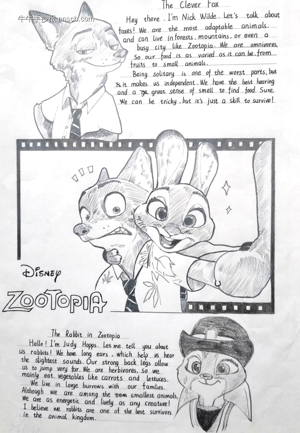 精美的英语手抄报8张-第6张