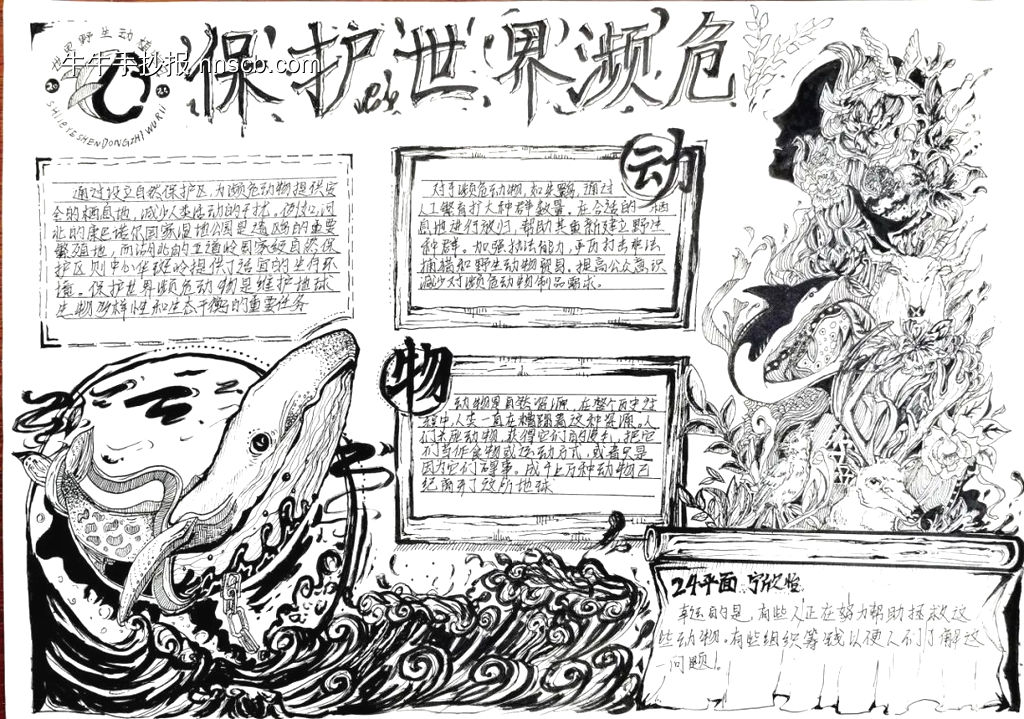 保护濒危动物主题手抄报-第3张