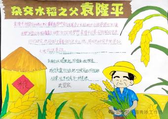 杂交水稻之父袁隆平主题手抄报