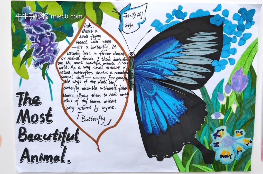 精美的英语手抄报8张-第3张