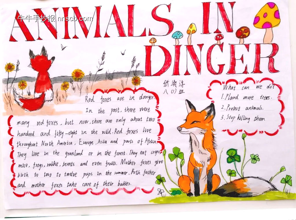 精美的英语手抄报8张-第5张