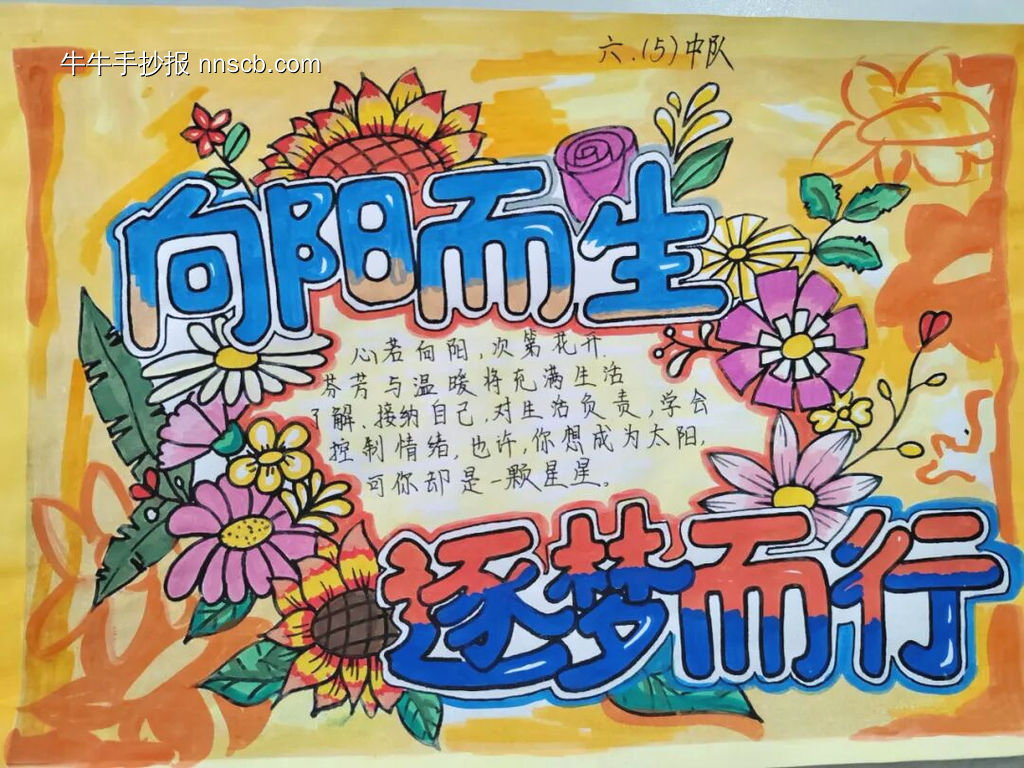 向阳而生,逐梦而行主题推荐7张-第1张