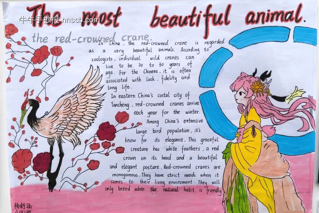 精美的英语手抄报8张-第4张