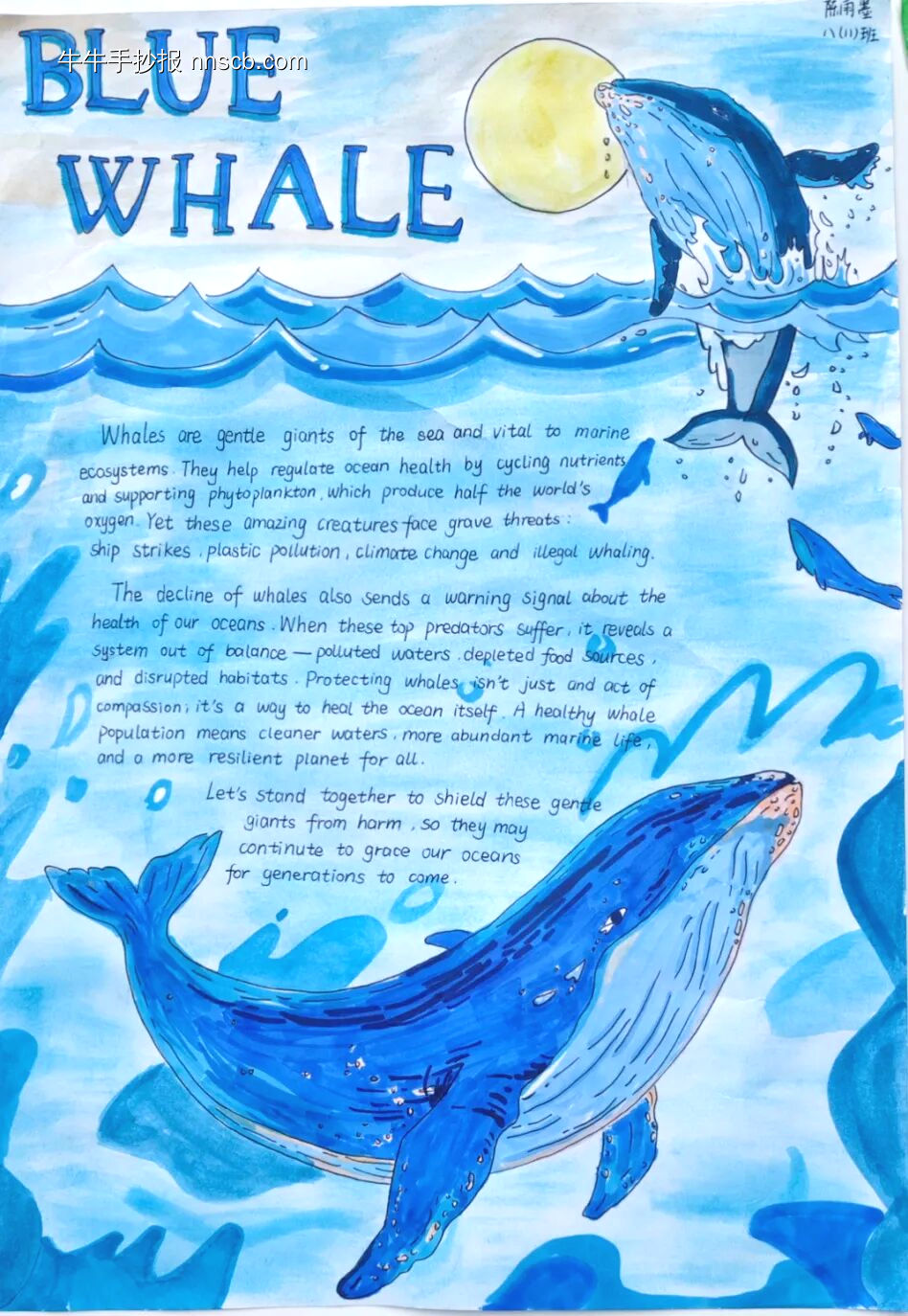 精美的英语手抄报8张-第7张