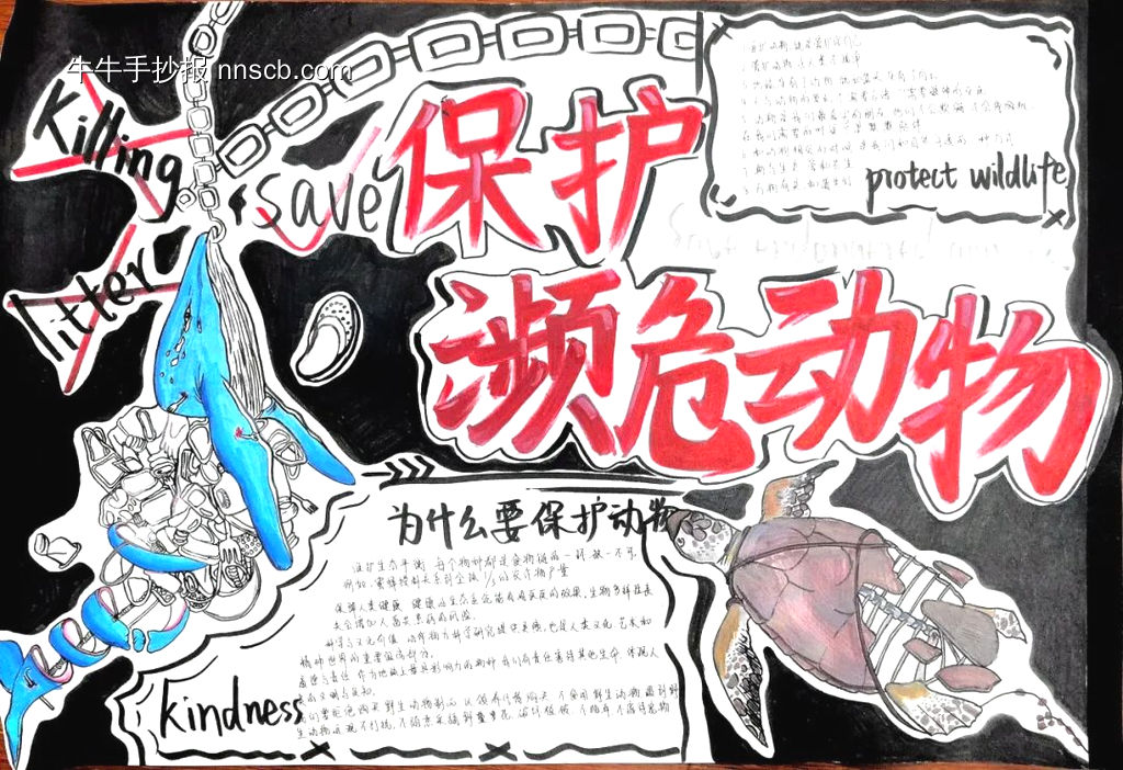 保护濒危动物主题手抄报-第1张