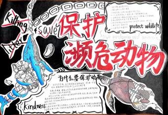 保护濒危动物主题手抄报