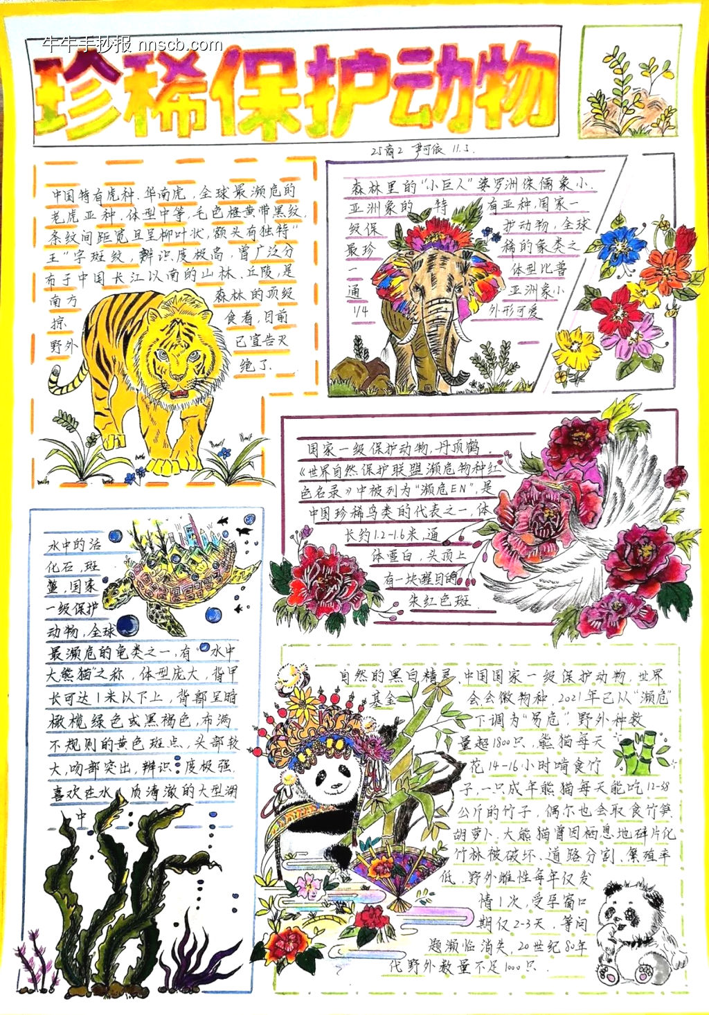 保护珍惜动物主题手抄报-第1张