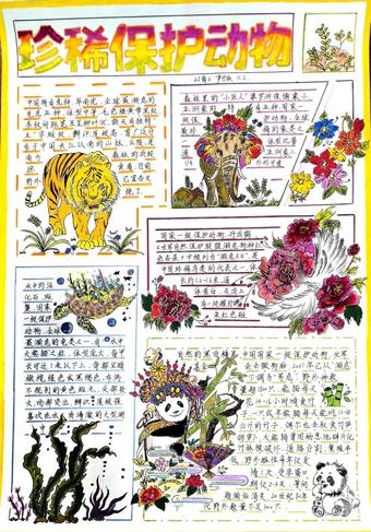 保护珍惜动物主题手抄报