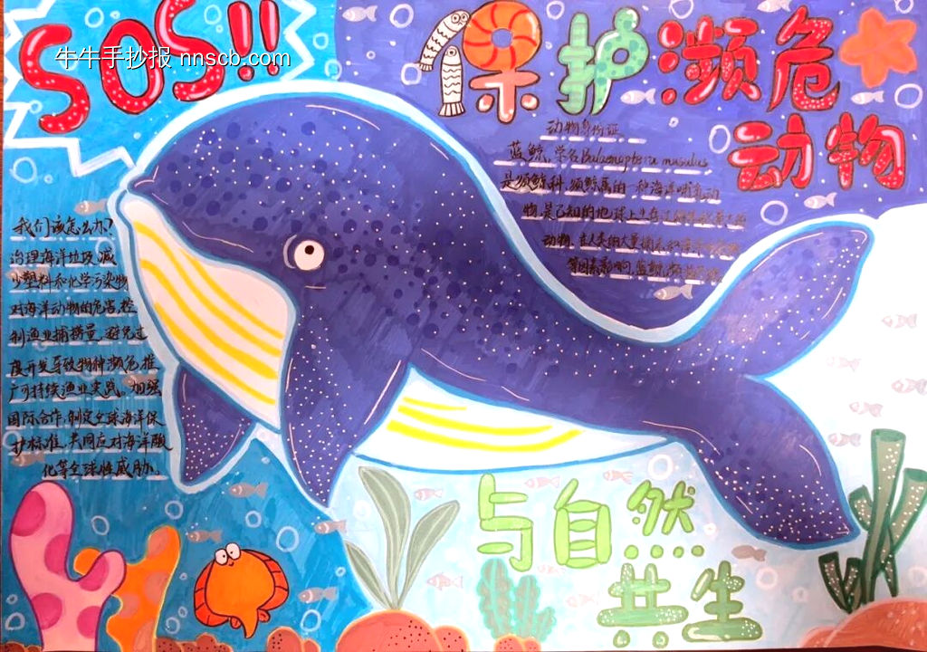 与自然共生——保护动物精选1张-第1张