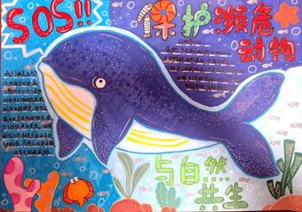 与自然共生——保护动物精选1张