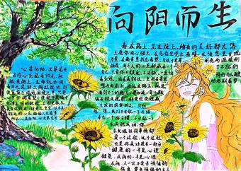 向阳而生简单又漂亮5张