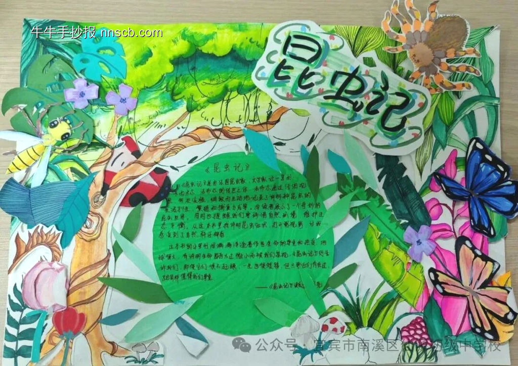 读名著“昆虫记”手抄报-第2张