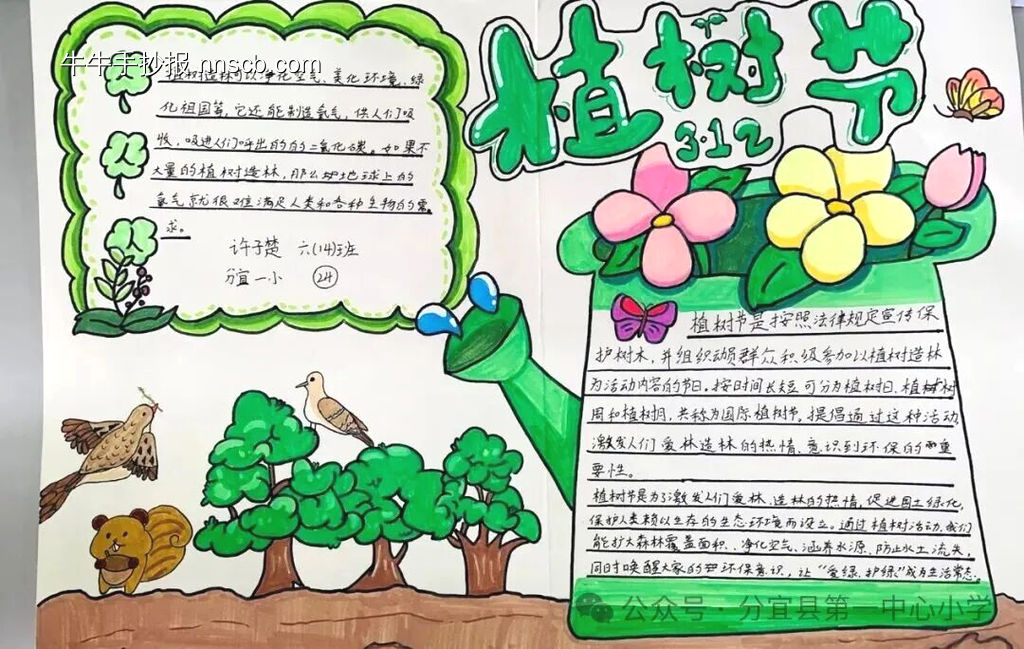 推荐“植树节”主题手抄报，超美6张-第1张