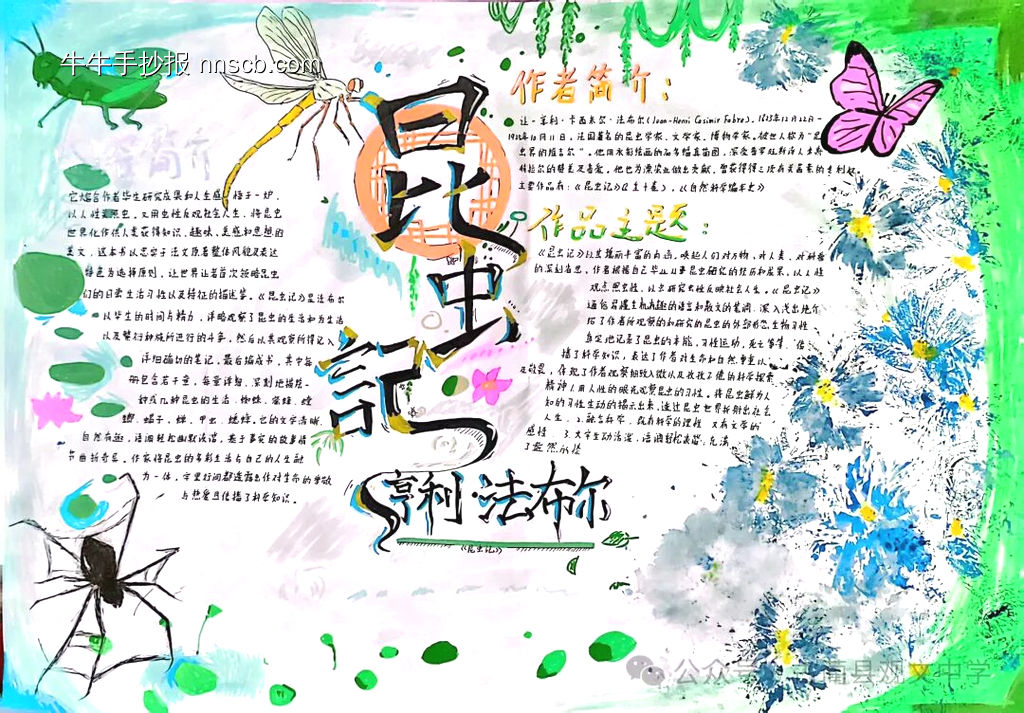 昆虫记推荐4张-第1张