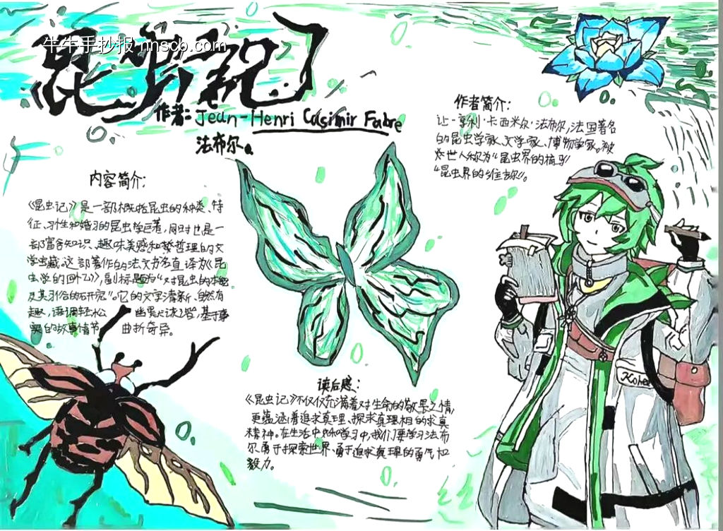 超美3张《昆虫记》主题读书小报-第3张