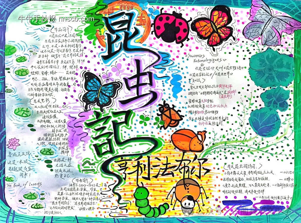 读书小报——昆虫记主题手抄报-第1张