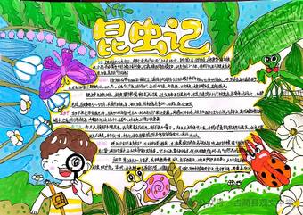 超美3张《昆虫记》读书小报