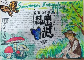 读名著“昆虫记”手抄报