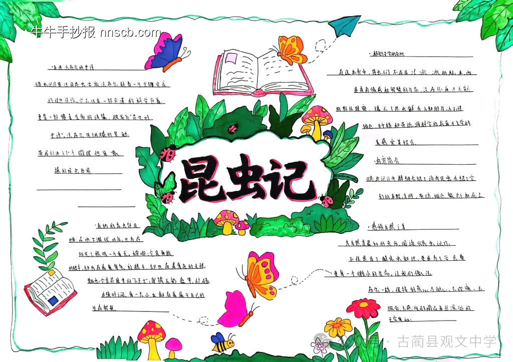 昆虫记推荐4张-第2张