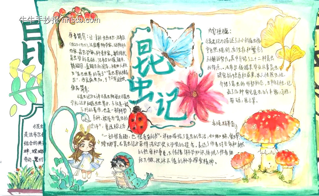 精美2张《昆虫记》读书小报-第1张