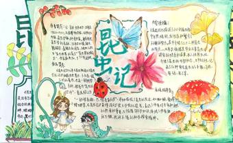 精美2张《昆虫记》读书小报