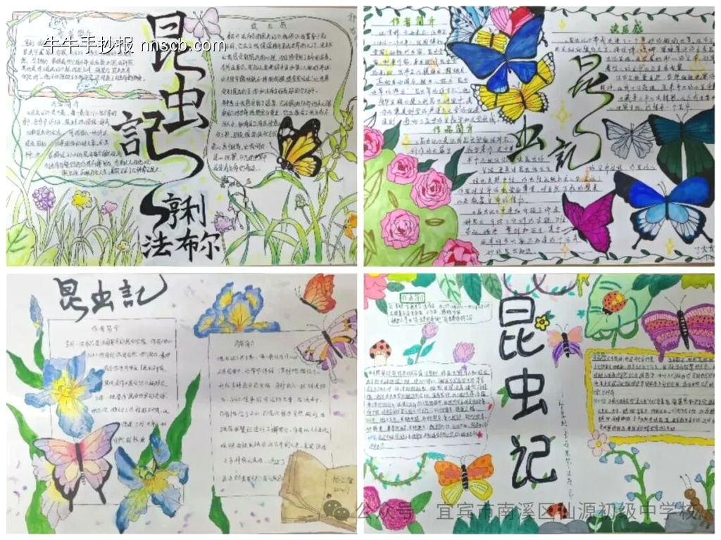 初中生读名著手抄报-第2张