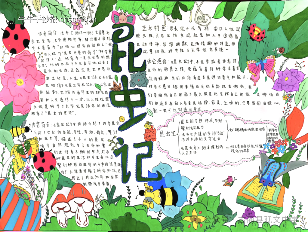 读书小报——昆虫记主题手抄报-第2张