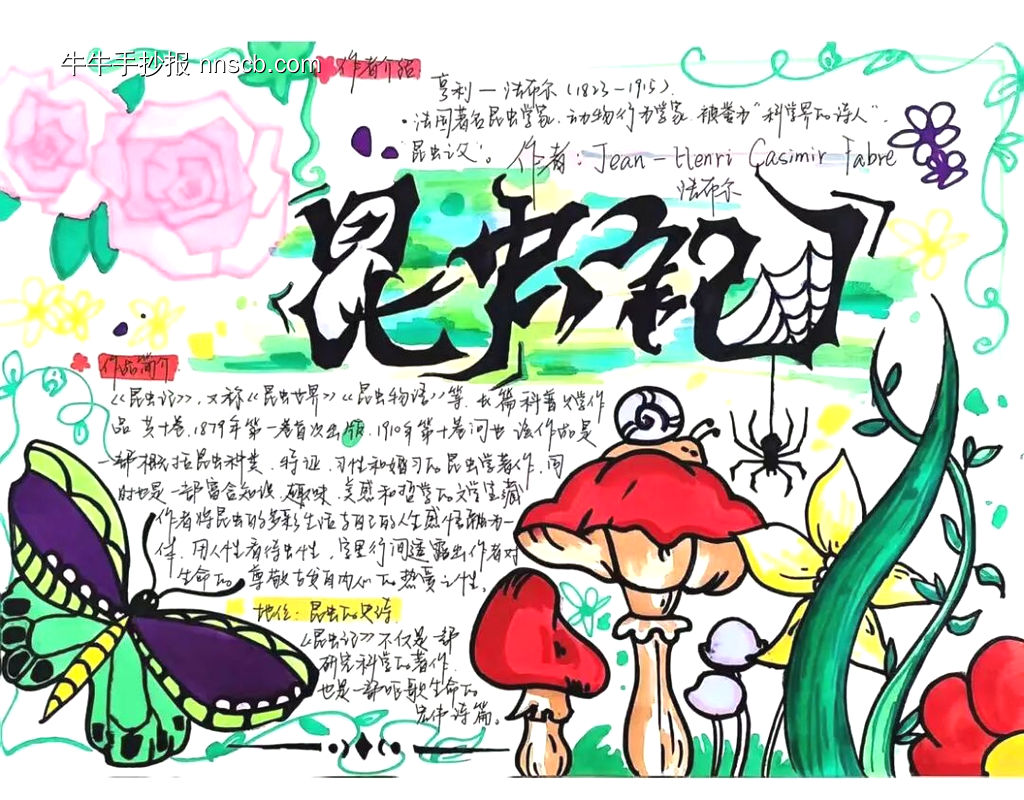 超美《昆虫记》主题手抄报-第5张