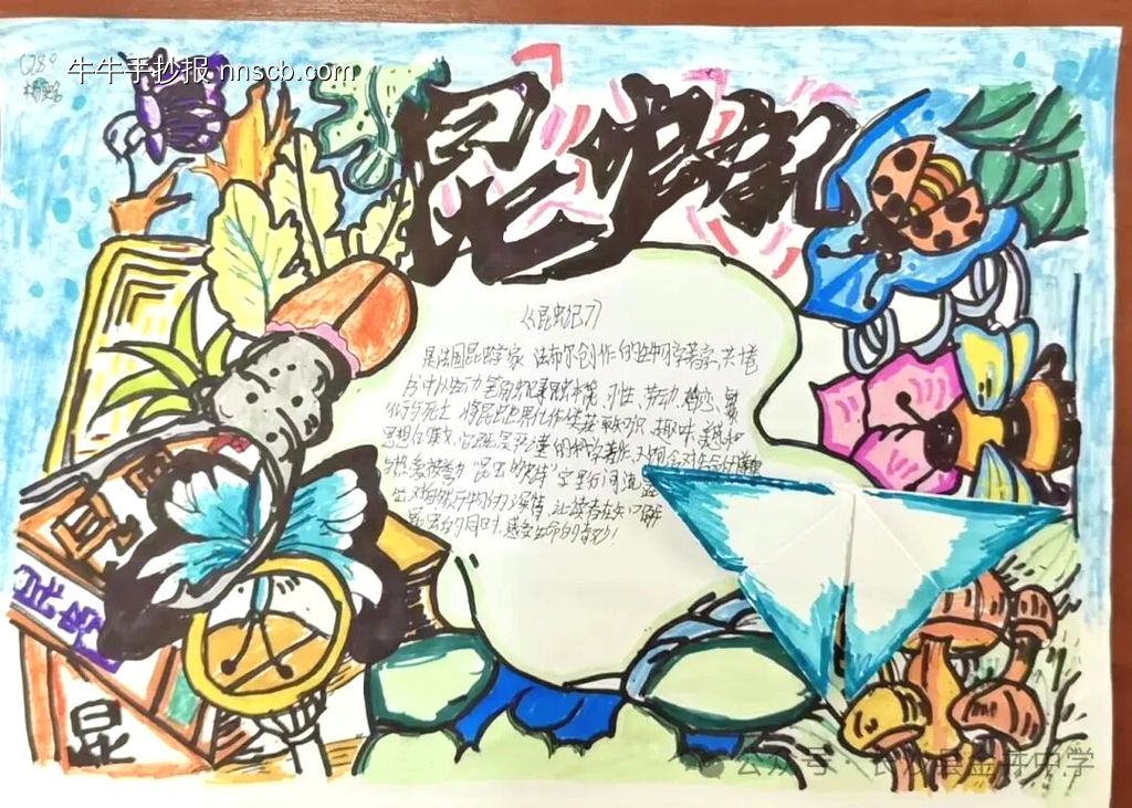 推荐3张《昆虫记》主题手抄报-第1张