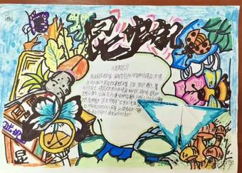 推荐3张《昆虫记》主题手抄报