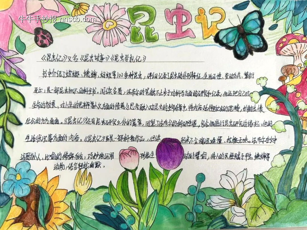 推荐3张读书小报《昆虫记》-第1张