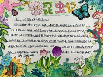 推荐3张读书小报《昆虫记》