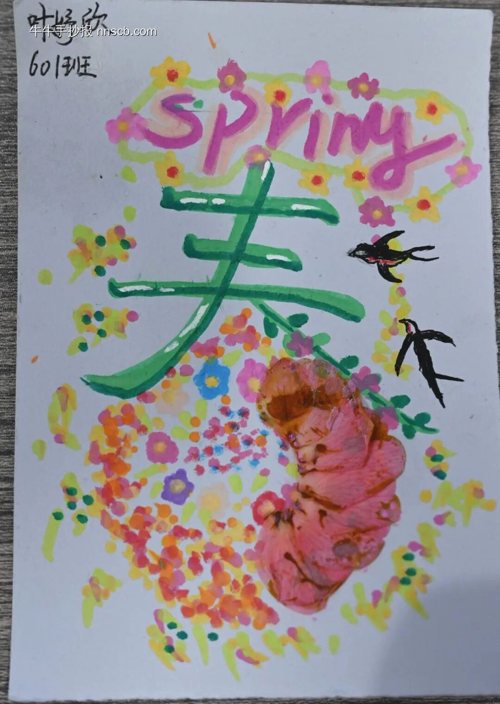 春之韵主题手抄报-第2张
