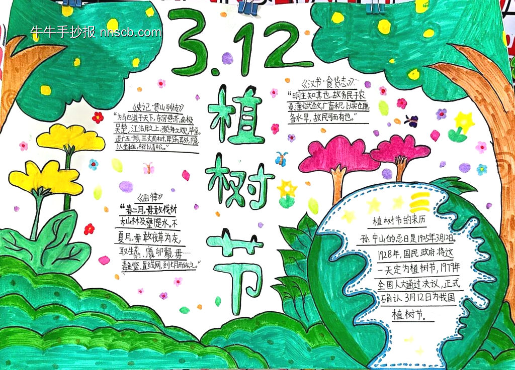 推荐小学生“爱绿护绿”主题手抄报-第3张