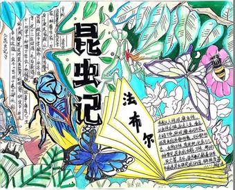 超美《昆虫记》主题手抄报
