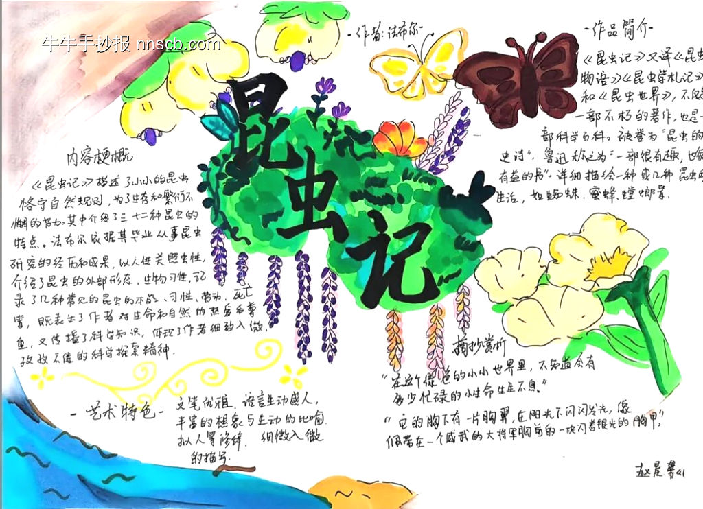 推荐3张读书小报《昆虫记》-第3张