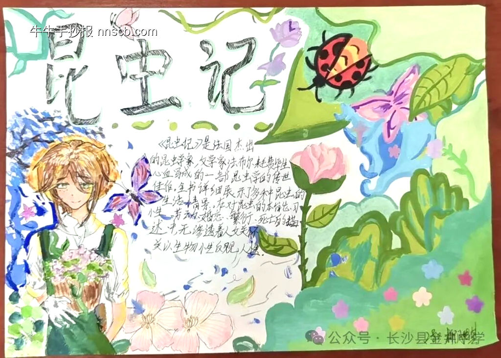 推荐3张《昆虫记》主题手抄报-第2张