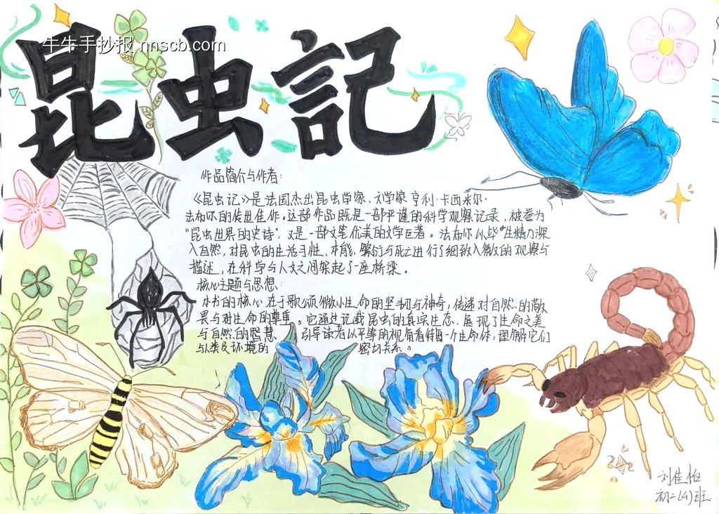 超美《昆虫记》主题手抄报-第2张